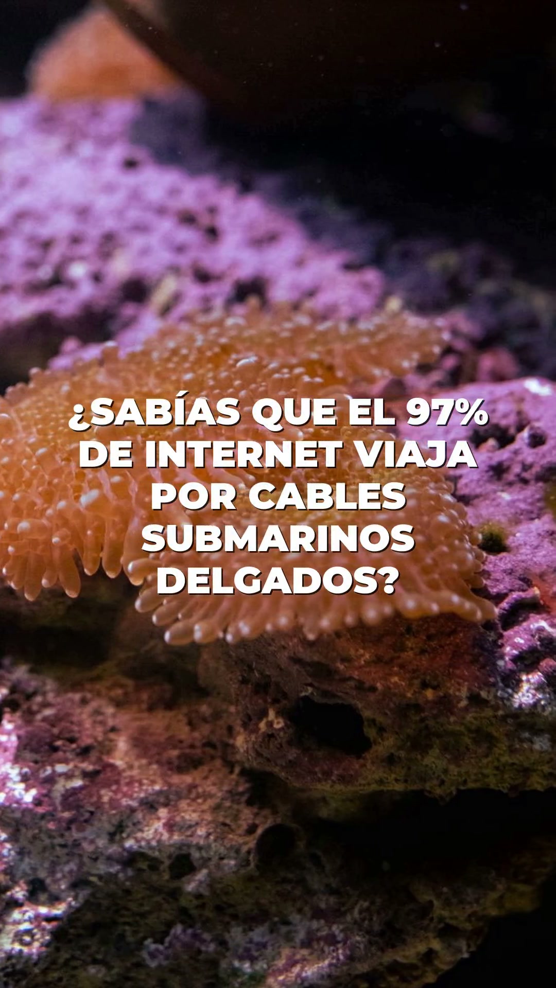 Robots Submarinos: La Clave del Mantenimiento de la Red Global
